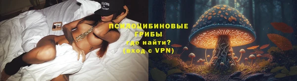 метадон Белокуриха