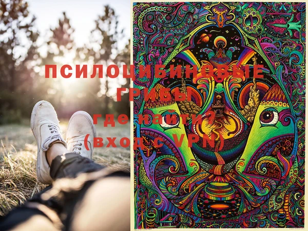 метадон Белокуриха