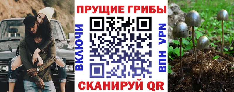 Галлюциногенные грибы GOLDEN TEACHER  Шагонар 